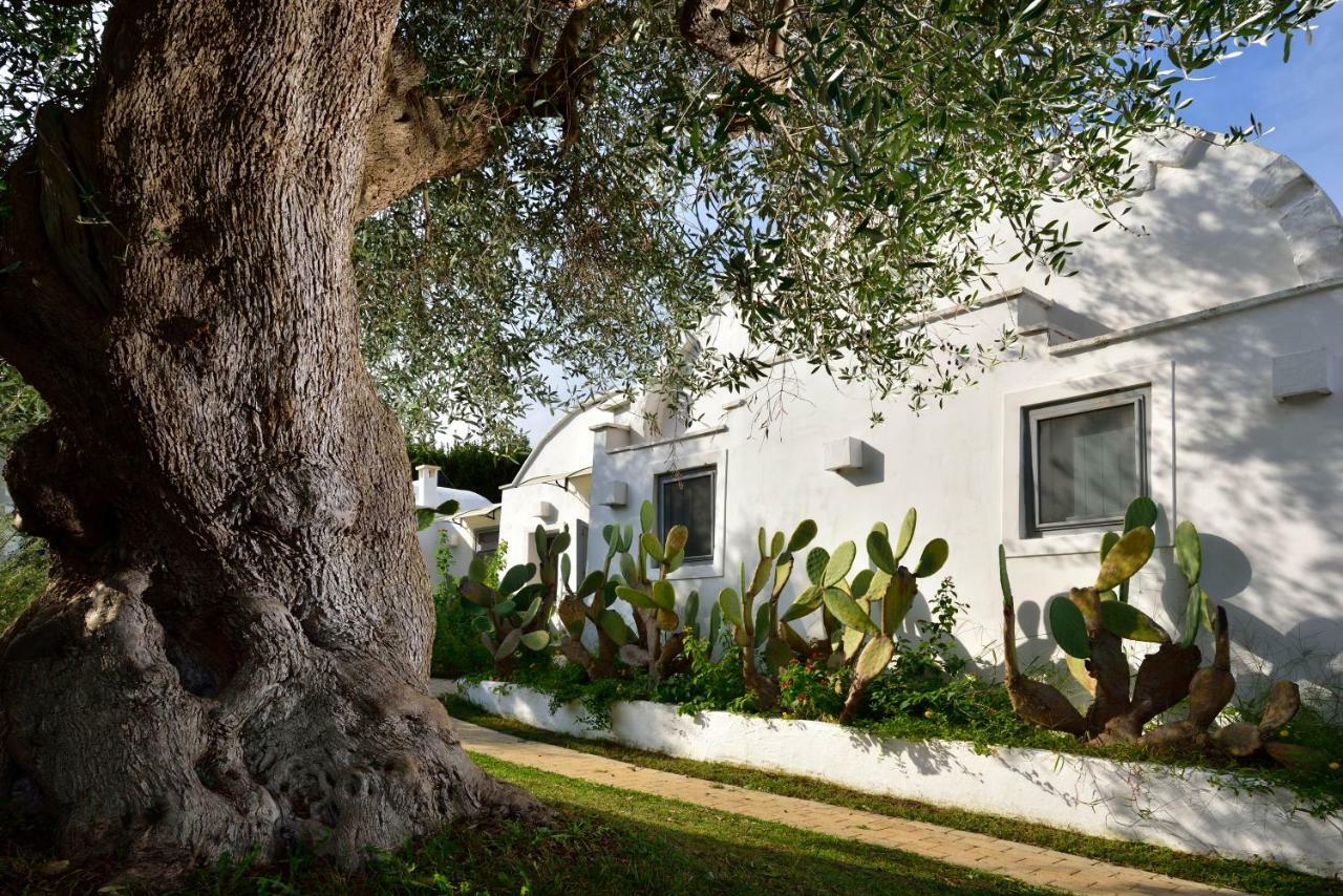B&B Trullo Barbagiullo Cisternino Buitenkant foto